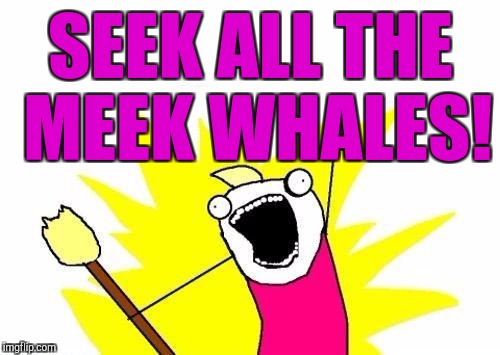 X All The Y Meme | SEEK ALL THE MEEK WHALES! | image tagged in memes,x all the y | made w/ Imgflip meme maker