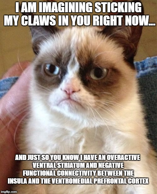 Psycho cat: your pain... it's my pleasure! | I AM IMAGINING STICKING MY CLAWS IN YOU RIGHT NOW... AND JUST SO YOU KNOW I HAVE AN OVERACTIVE VENTRAL STRIATUM AND NEGATIVE FUNCTIONAL CONNECTIVITY BETWEEN THE INSULA AND THE VENTROMEDIAL PREFRONTAL CORTEX | image tagged in memes,grumpy cat,psychopath,pain,cat,brain | made w/ Imgflip meme maker