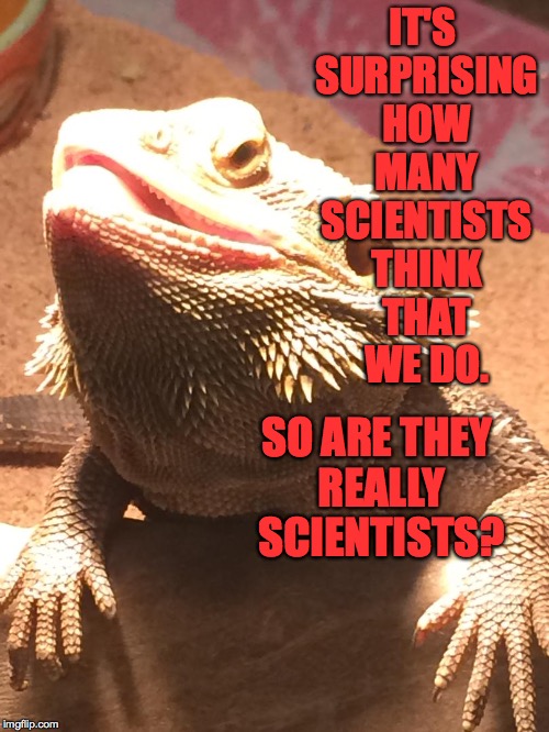 IT'S SURPRISING HOW MANY SCIENTISTS THINK THAT WE DO. SO ARE THEY REALLY SCIENTISTS? | made w/ Imgflip meme maker