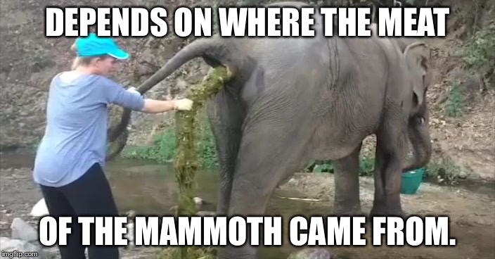 Elephant crap | DEPENDS ON WHERE THE MEAT OF THE MAMMOTH CAME FROM. | image tagged in elephant crap | made w/ Imgflip meme maker