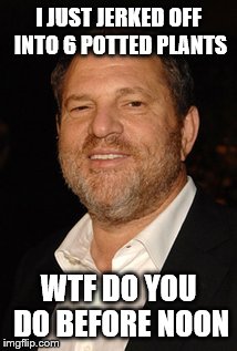 Weinstein | I JUST JERKED OFF INTO 6 POTTED PLANTS; WTF DO YOU DO BEFORE NOON | image tagged in weinstein | made w/ Imgflip meme maker