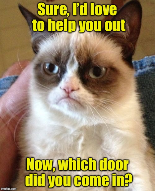 Helpful Grumpy Cat | Sure, I’d love to help you out; Now, which door did you come in? | image tagged in memes,grumpy cat,help | made w/ Imgflip meme maker
