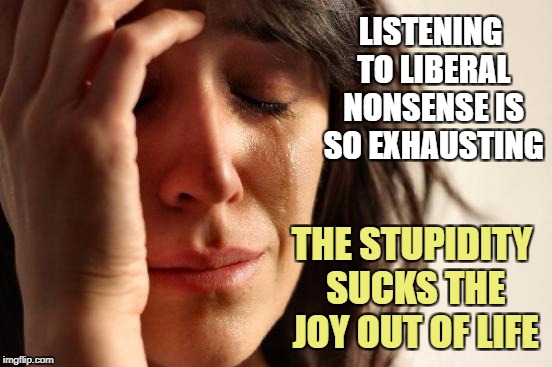First World Problems Meme | LISTENING TO LIBERAL NONSENSE IS SO EXHAUSTING THE STUPIDITY SUCKS THE JOY OUT OF LIFE | image tagged in memes,first world problems | made w/ Imgflip meme maker