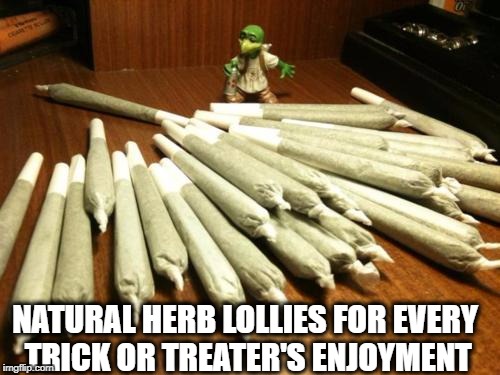 NATURAL HERB LOLLIES FOR EVERY TRICK OR TREATER'S ENJOYMENT | image tagged in blunts | made w/ Imgflip meme maker