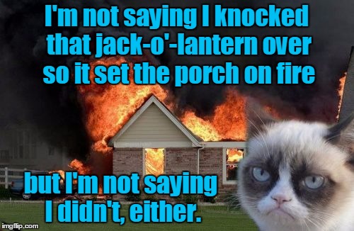 I'm not saying I knocked that jack-o'-lantern over so it set the porch on fire but I'm not saying I didn't, either. | made w/ Imgflip meme maker