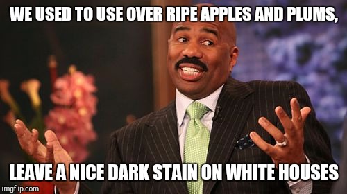 WE USED TO USE OVER RIPE APPLES AND PLUMS, LEAVE A NICE DARK STAIN ON WHITE HOUSES | image tagged in memes,steve harvey | made w/ Imgflip meme maker