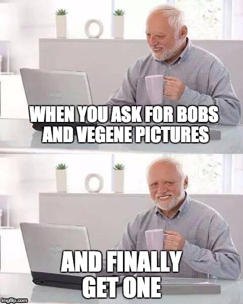 Hide the Pain Harold | WHEN YOU ASK FOR BOBS AND VEGENE PICTURES; AND FINALLY GET ONE | image tagged in memes,hide the pain harold | made w/ Imgflip meme maker