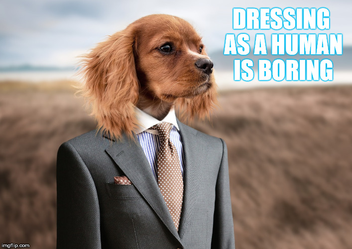 Doggie Halloween | DRESSING AS A HUMAN IS BORING | image tagged in memes,dog,halloween | made w/ Imgflip meme maker