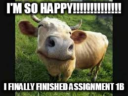happy cow | I'M SO HAPPY!!!!!!!!!!!!!! I FINALLY FINISHED ASSIGNMENT 1B | image tagged in happy cow | made w/ Imgflip meme maker