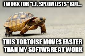 I WORK FOR "I.T. SPECIALISTS" BUT... THIS TORTOISE MOVES FASTER THAN MY SOFTWARE AT WORK | image tagged in tortoise | made w/ Imgflip meme maker