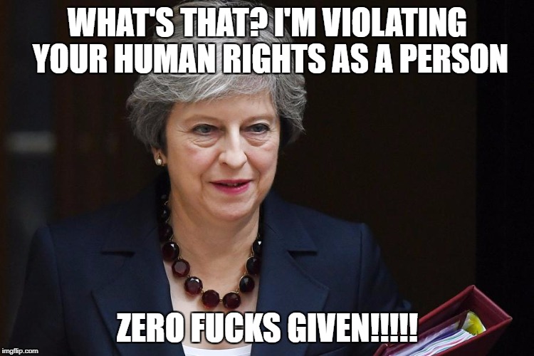 WHAT'S THAT? I'M VIOLATING YOUR HUMAN RIGHTS AS A PERSON; ZERO FUCKS GIVEN!!!!! | image tagged in death to the tories | made w/ Imgflip meme maker