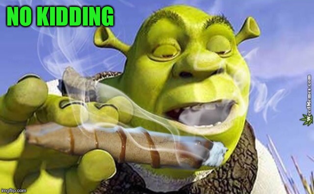 Shrek Joint | NO KIDDING | image tagged in shrek joint | made w/ Imgflip meme maker