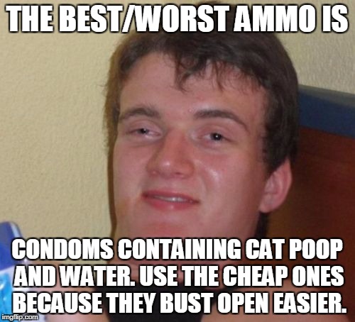 10 Guy Meme | THE BEST/WORST AMMO IS CONDOMS CONTAINING CAT POOP AND WATER. USE THE CHEAP ONES BECAUSE THEY BUST OPEN EASIER. | image tagged in memes,10 guy | made w/ Imgflip meme maker