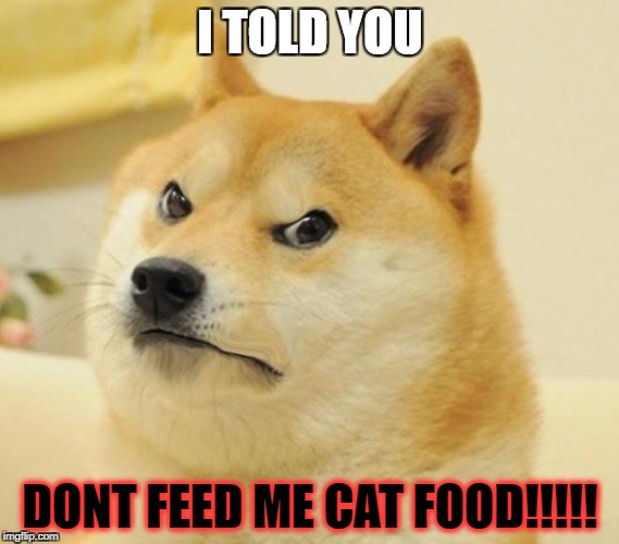 Mad doge | I TOLD YOU; DONT FEED ME CAT FOOD!!!!! | image tagged in mad doge | made w/ Imgflip meme maker