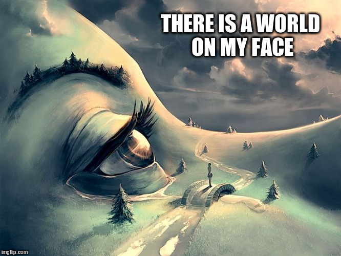 THERE IS A WORLD ON MY FACE | made w/ Imgflip meme maker