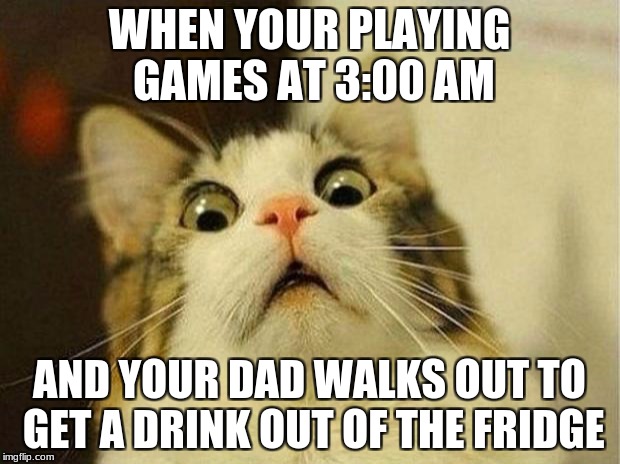 (heartbeat rhythm increasing)  | WHEN YOUR PLAYING GAMES AT 3:00 AM; AND YOUR DAD WALKS OUT TO GET A DRINK OUT OF THE FRIDGE | image tagged in memes,scared cat | made w/ Imgflip meme maker