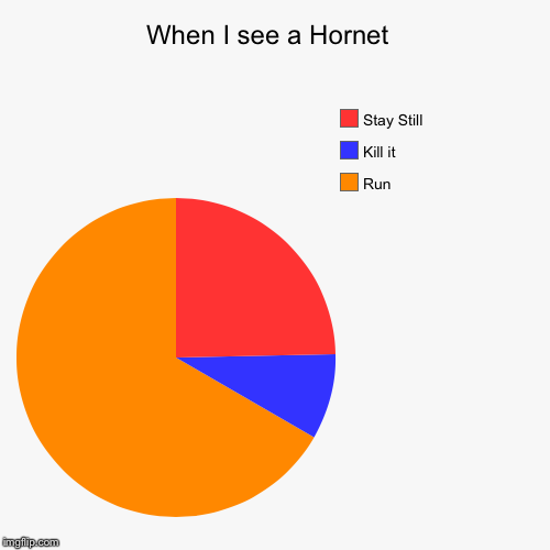 image tagged in funny,pie charts | made w/ Imgflip chart maker