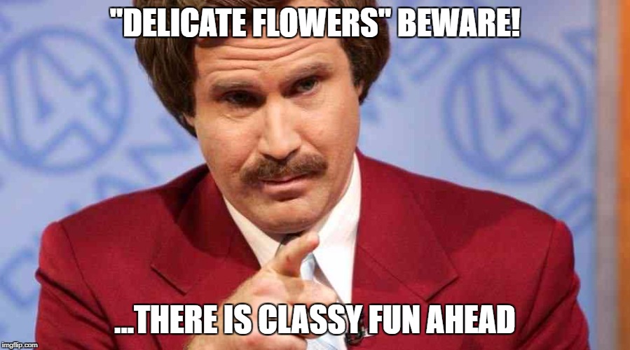 Stay Classy | "DELICATE FLOWERS" BEWARE! ...THERE IS CLASSY FUN AHEAD | image tagged in stay classy | made w/ Imgflip meme maker