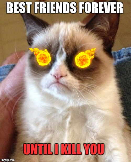 Grumpy Cat Meme | BEST FRIENDS FOREVER; UNTIL I KILL YOU | image tagged in memes,grumpy cat | made w/ Imgflip meme maker