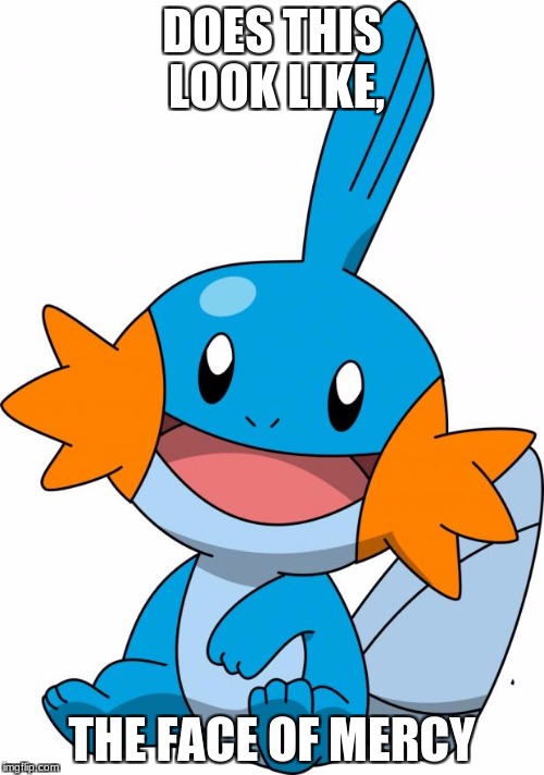 Mudkip | DOES THIS LOOK LIKE, THE FACE OF MERCY | image tagged in mudkip | made w/ Imgflip meme maker