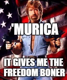 Hell Yeah | 'MURICA; IT GIVES ME THE FREEDOM BONER | image tagged in chuck norris,murica,america,american flag | made w/ Imgflip meme maker