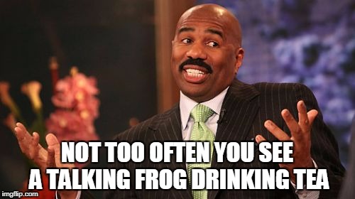 Steve Harvey Meme | NOT TOO OFTEN YOU SEE A TALKING FROG DRINKING TEA | image tagged in memes,steve harvey | made w/ Imgflip meme maker