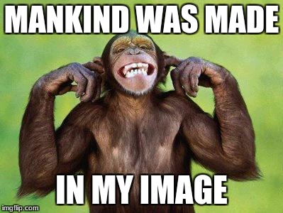 monkey | MANKIND WAS MADE; IN MY IMAGE | image tagged in monkey | made w/ Imgflip meme maker