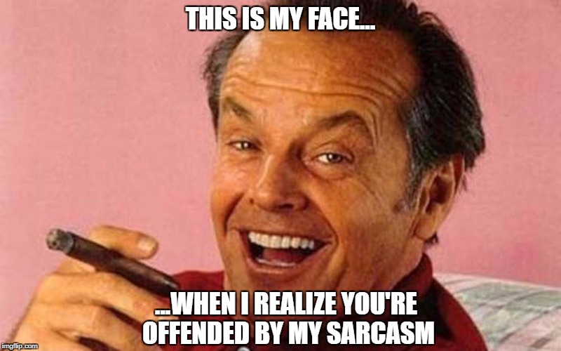 If my jokes offended you | THIS IS MY FACE... ...WHEN I REALIZE YOU'RE OFFENDED BY MY SARCASM | image tagged in if my jokes offended you | made w/ Imgflip meme maker
