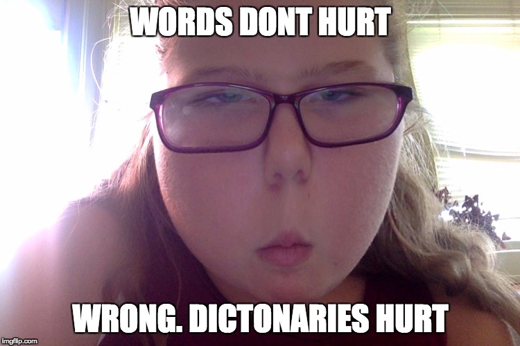 WORDS DONT HURT; WRONG. DICTONARIES HURT | image tagged in memes | made w/ Imgflip meme maker