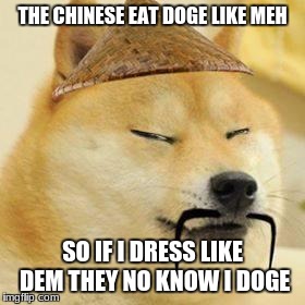 asian doge | THE CHINESE EAT DOGE LIKE MEH; SO IF I DRESS LIKE DEM THEY NO KNOW I DOGE | image tagged in asian doge | made w/ Imgflip meme maker