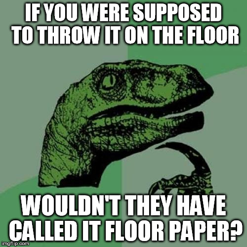 I'm so tired of sweeping up toilet paper at work. | IF YOU WERE SUPPOSED TO THROW IT ON THE FLOOR; WOULDN'T THEY HAVE CALLED IT FLOOR PAPER? | image tagged in memes,philosoraptor,work,toilet paper | made w/ Imgflip meme maker