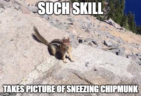 SUCH SKILL; TAKES PICTURE OF SNEEZING CHIPMUNK | image tagged in sneezing chipmunk,chipmunk | made w/ Imgflip meme maker