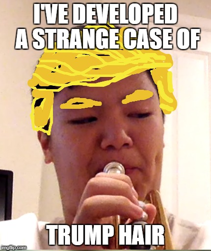 I'VE DEVELOPED A STRANGE CASE OF; TRUMP HAIR | image tagged in trump,trump hair | made w/ Imgflip meme maker