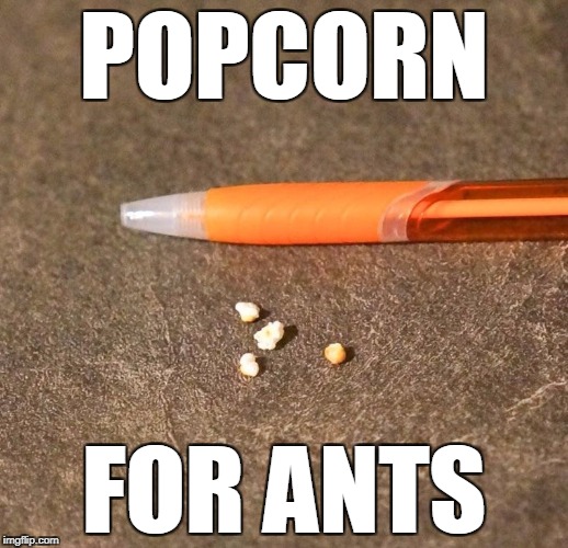 SO TINY. MUCH POP. | POPCORN; FOR ANTS | image tagged in popcorn,small | made w/ Imgflip meme maker