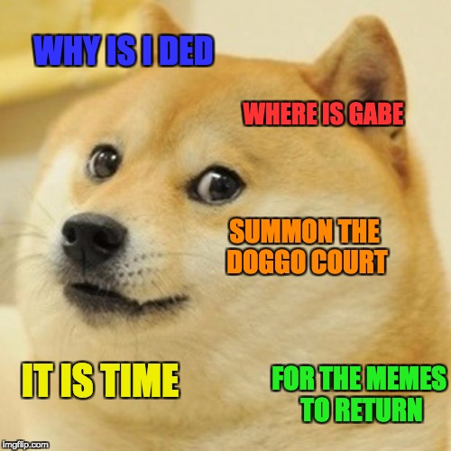 Doge | WHY IS I DED; WHERE IS GABE; SUMMON THE DOGGO COURT; IT IS TIME; FOR THE MEMES TO RETURN | image tagged in memes,doge | made w/ Imgflip meme maker