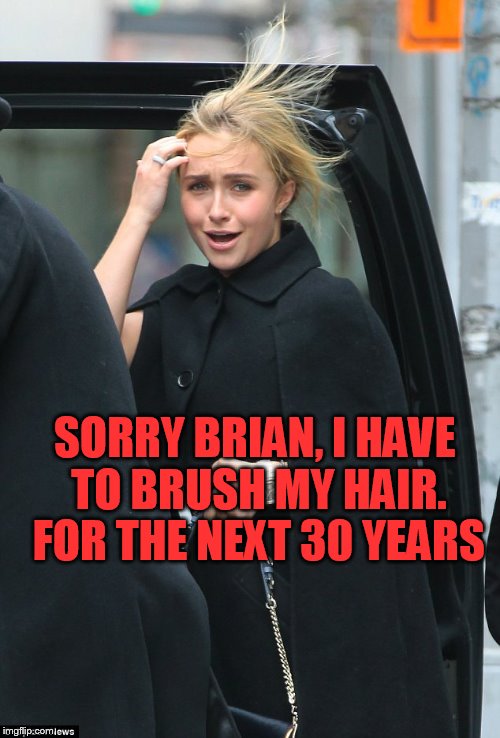 SORRY BRIAN, I HAVE TO BRUSH MY HAIR. FOR THE NEXT 30 YEARS | made w/ Imgflip meme maker