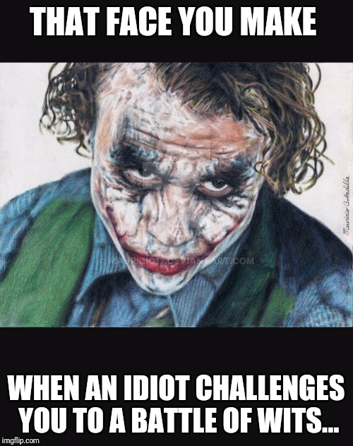 THAT FACE YOU MAKE; WHEN AN IDIOT CHALLENGES YOU TO A BATTLE OF WITS... | made w/ Imgflip meme maker