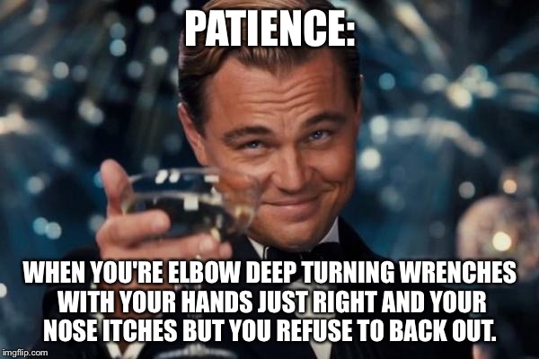Leonardo Dicaprio Cheers Meme | PATIENCE:; WHEN YOU'RE ELBOW DEEP TURNING WRENCHES WITH YOUR HANDS JUST RIGHT AND YOUR NOSE ITCHES BUT YOU REFUSE TO BACK OUT. | image tagged in memes,leonardo dicaprio cheers | made w/ Imgflip meme maker