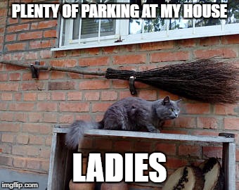 PLENTY OF PARKING AT MY HOUSE; LADIES | image tagged in broom parking | made w/ Imgflip meme maker