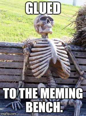 Waiting Skeleton Meme | GLUED TO THE MEMING BENCH. | image tagged in memes,waiting skeleton | made w/ Imgflip meme maker