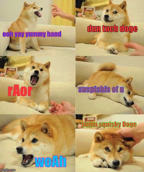 dun tuch doge; ooh yay yummy hand; rAor; suspishis of u; mmm squishy Doge; woAh | image tagged in all doge's | made w/ Imgflip meme maker