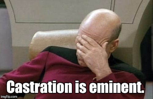 Captain Picard Facepalm Meme | Castration is eminent. | image tagged in memes,captain picard facepalm | made w/ Imgflip meme maker