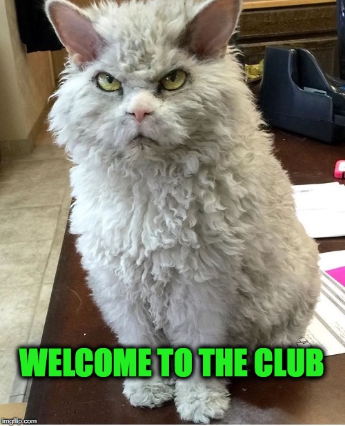 WELCOME TO THE CLUB | made w/ Imgflip meme maker