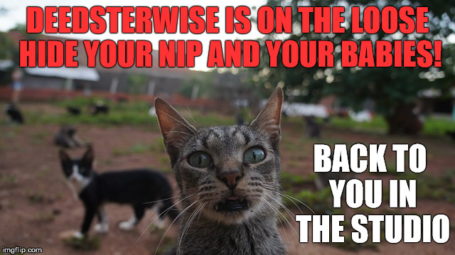 DEEDSTERWISE IS ON THE LOOSE HIDE YOUR NIP AND YOUR BABIES! BACK TO YOU IN THE STUDIO | made w/ Imgflip meme maker