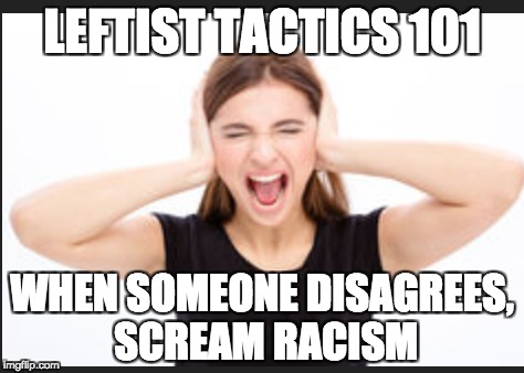 Leftist Tactics | LEFTIST TACTICS 101; WHEN SOMEONE DISAGREES, SCREAM RACISM | image tagged in liberals | made w/ Imgflip meme maker