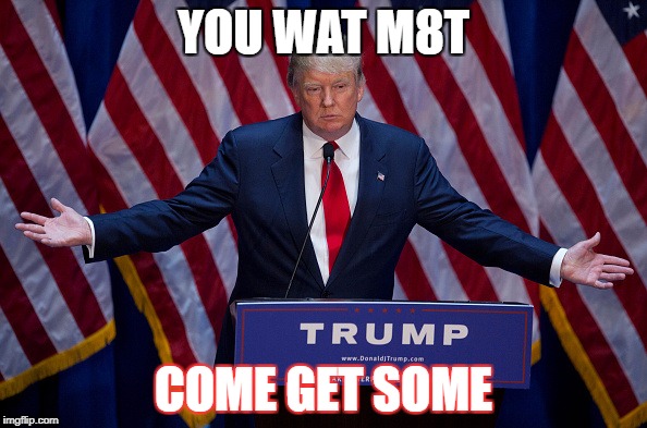 Donald Trump | YOU WAT M8T; COME GET SOME | image tagged in donald trump | made w/ Imgflip meme maker