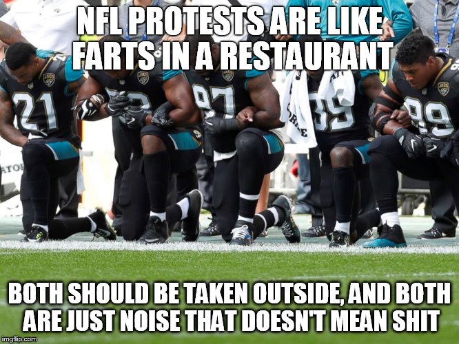 NFL Flag-haters | NFL PROTESTS ARE LIKE FARTS IN A RESTAURANT; BOTH SHOULD BE TAKEN OUTSIDE, AND BOTH ARE JUST NOISE THAT DOESN'T MEAN SHIT | image tagged in nfl flag-haters | made w/ Imgflip meme maker