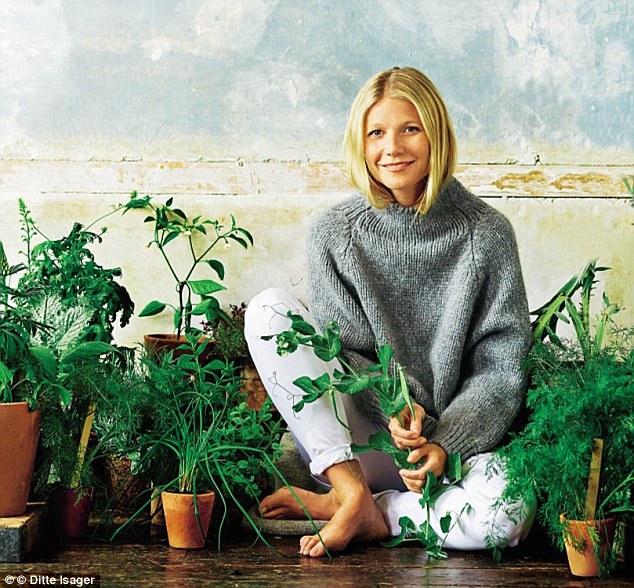 paltrow 2 Blank Meme Template