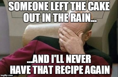 Captain Picard Facepalm | SOMEONE LEFT THE CAKE OUT IN THE RAIN... ...AND I'LL NEVER HAVE THAT RECIPE AGAIN | image tagged in memes,captain picard facepalm | made w/ Imgflip meme maker