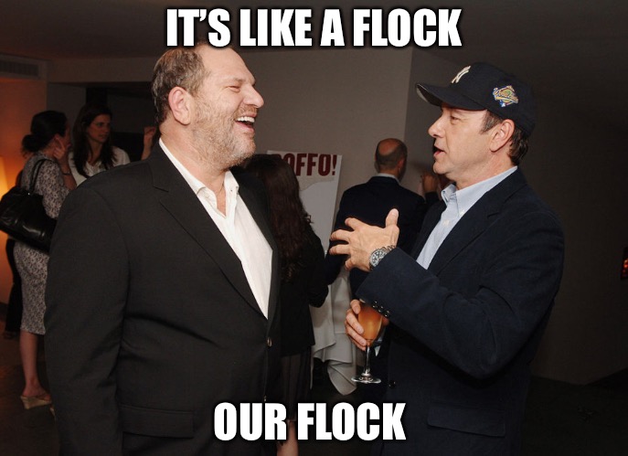 Weinstein Spacey Party | IT’S LIKE A FLOCK; OUR FLOCK | image tagged in weinstein spacey party | made w/ Imgflip meme maker